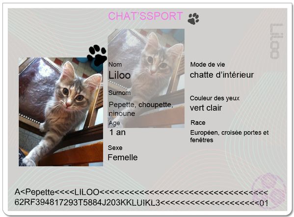 chatsport Liloo septembre