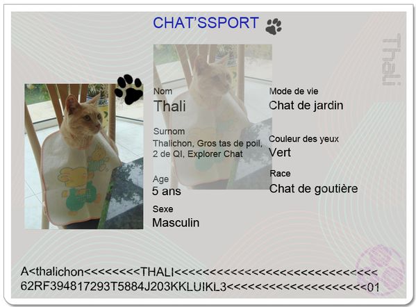chatssport-Thali.JPG