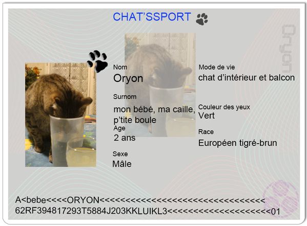 chatsport Oryon