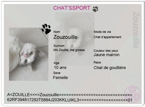 chatsport Zouzouille