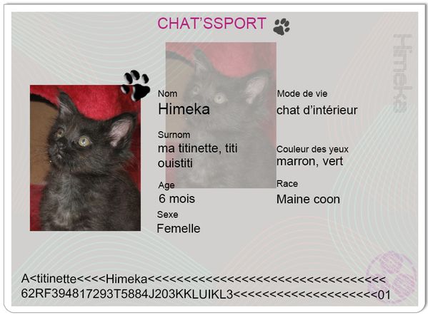 chatsport himeka