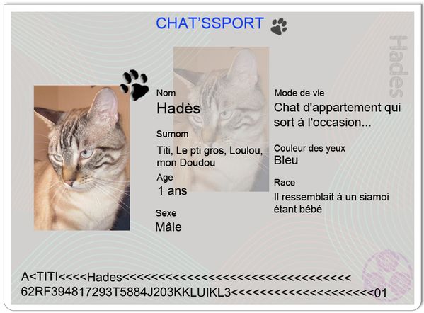 chatsport-Hades.jpg
