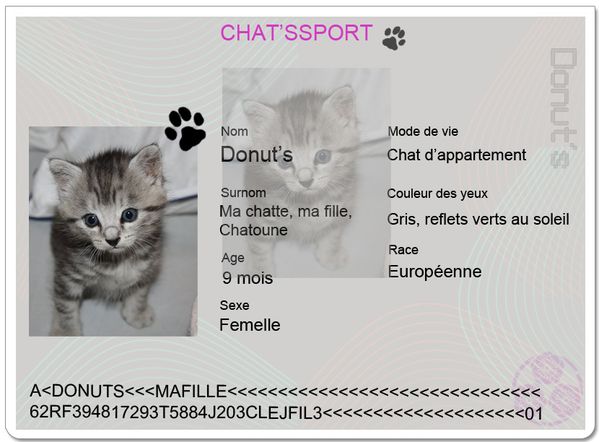 chatsport-Donuts.JPG