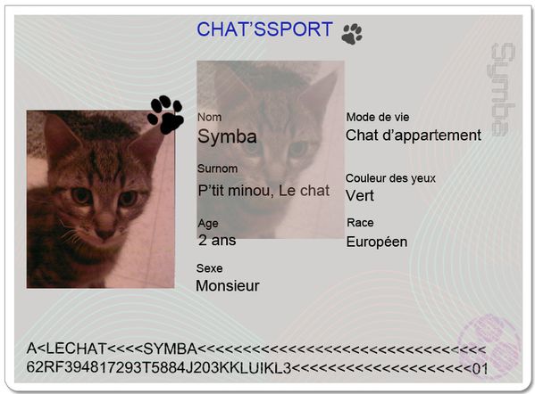 chatsport-Symba.JPG