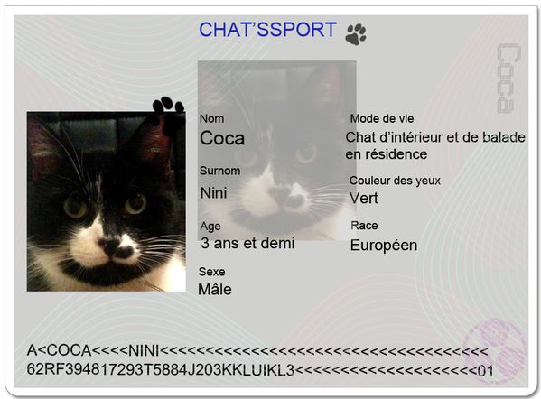 chatssport-Coca.JPG