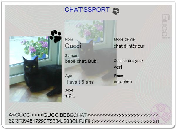 chatsport-gucci.JPG