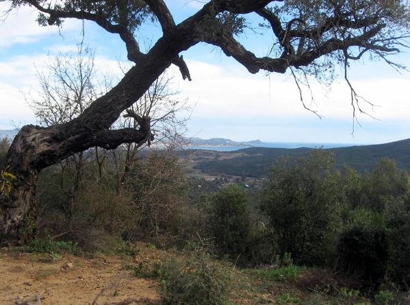 2013-02-07-La Flute -030