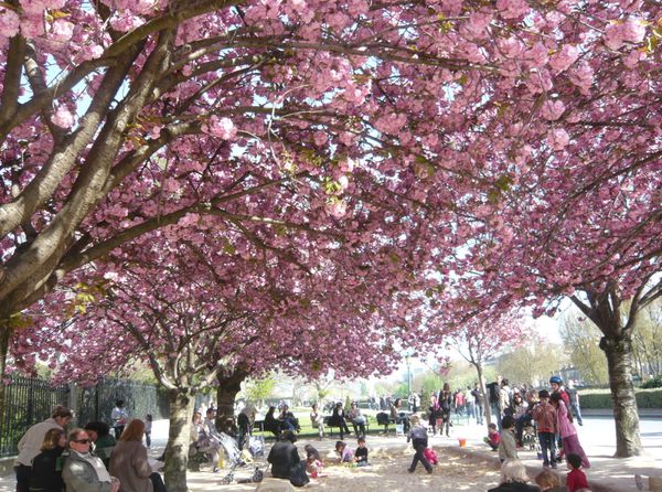 Printemps de Paris © Bernard Moutin 2010 0001