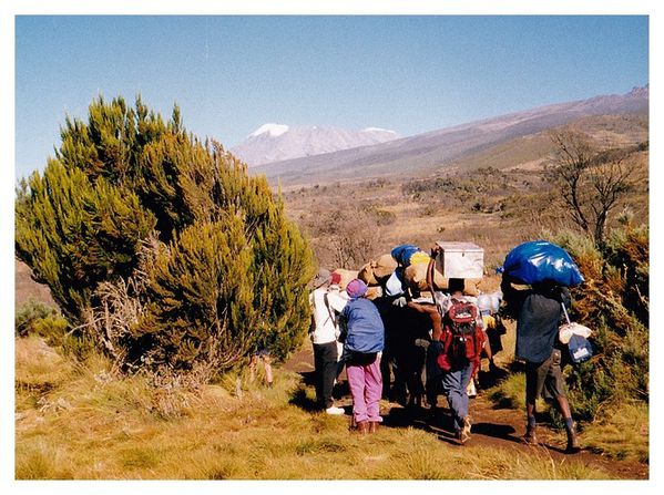 kilimandjaro 18