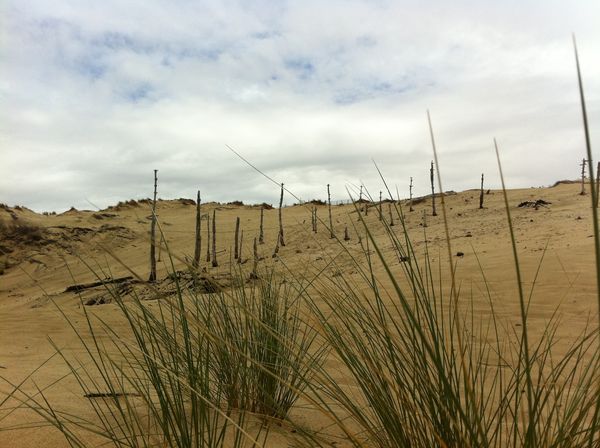 S-2011-03-27-Dune-du-Pyla 0400