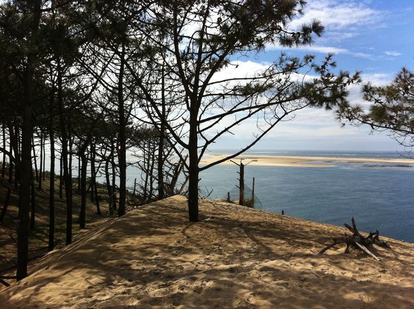 S-2011-03-27-Dune-du-Pyla 0430