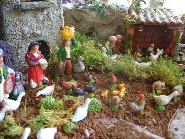 La ferme aux poules 022