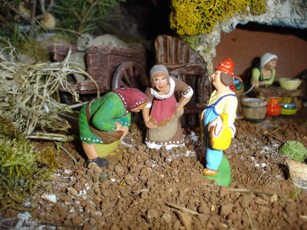 La ferme aux poules 144