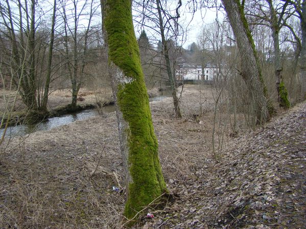 DSC02135