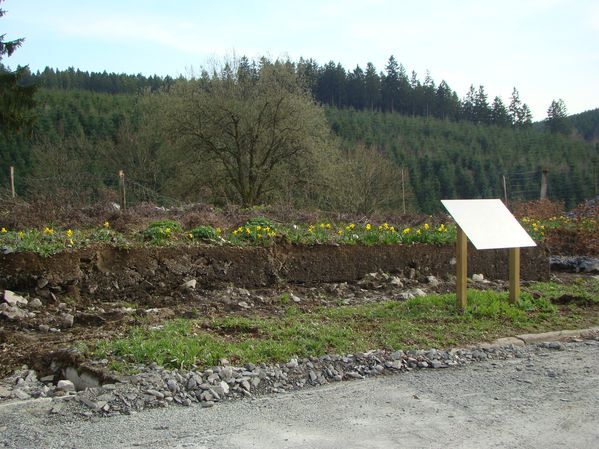DSC02330