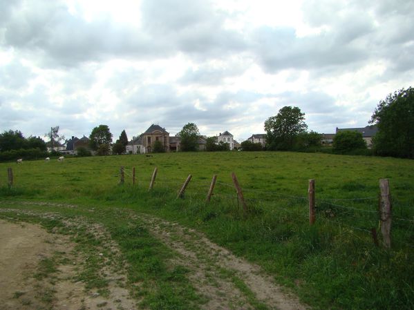 DSC02484
