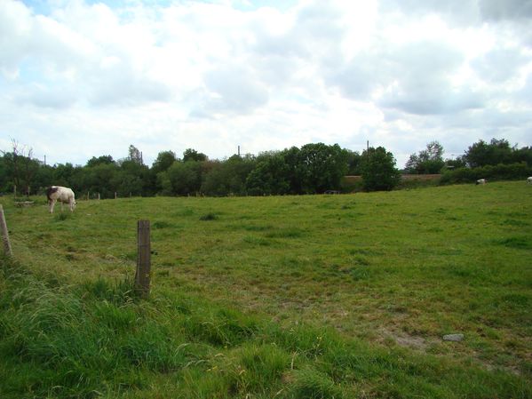 DSC02485