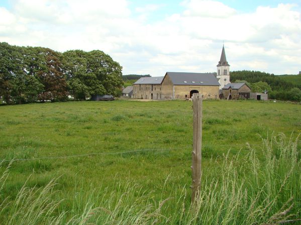 DSC02488