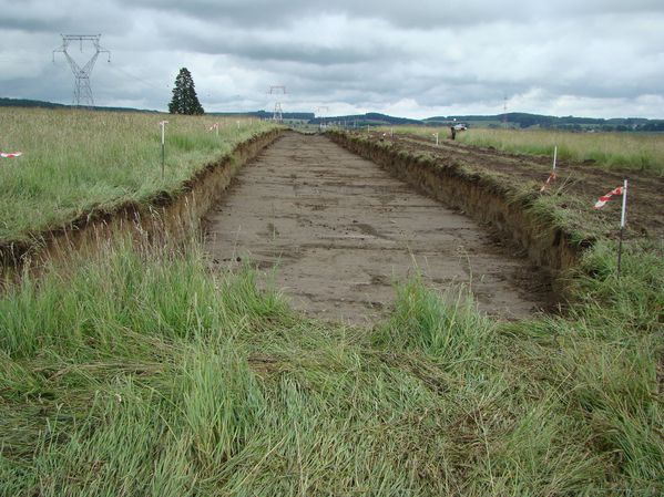 DSC02575