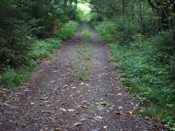 DSC02780.JPG