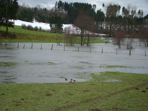 DSC02077