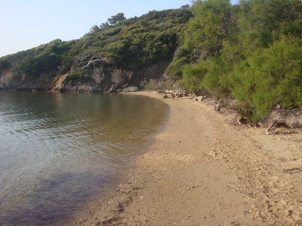 DSC01639