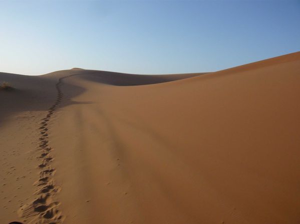 Merzouga © Bernard Moutin 12 176