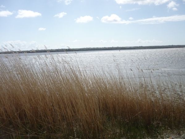 loire 007