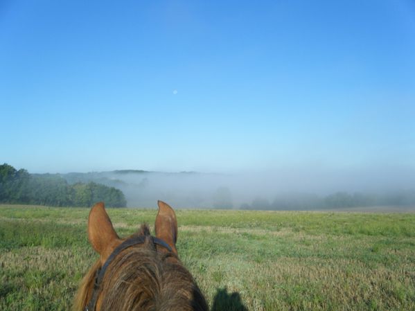 promenade à cheval