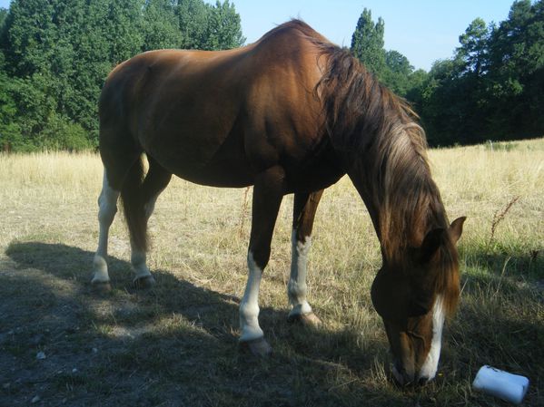 DSCF8818.JPG
