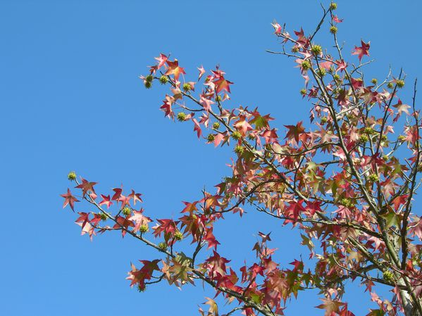 DSCN6562