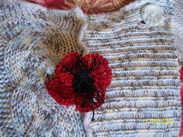coquelicot_qinoa.JPG