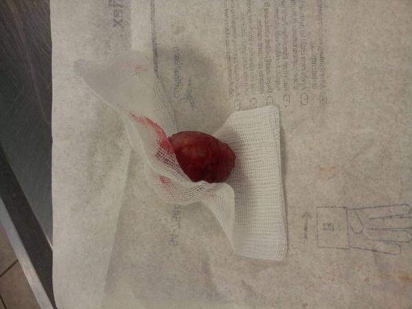 20120817_194426.jpg