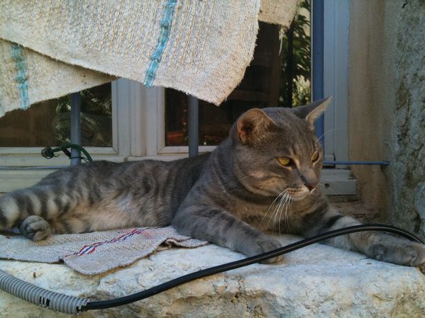 juin-2011-0491.jpg