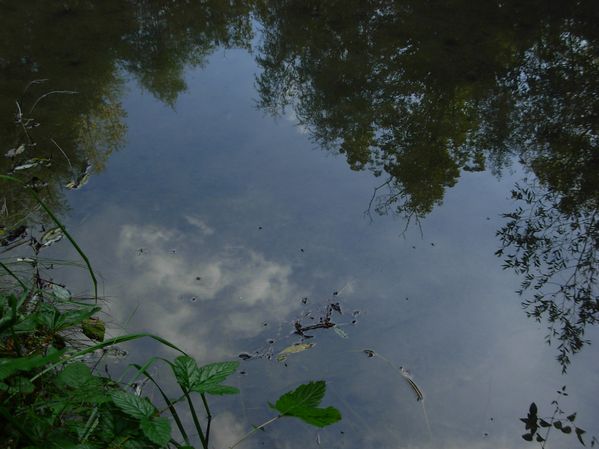 DSCN6537
