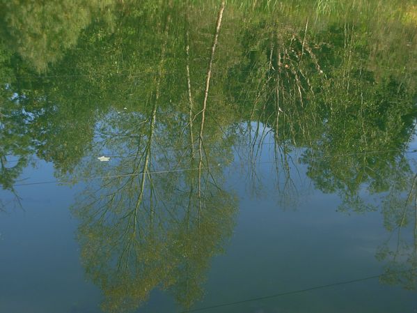 DSCN6538