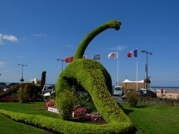 DSCN5047