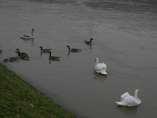 DSCN8028