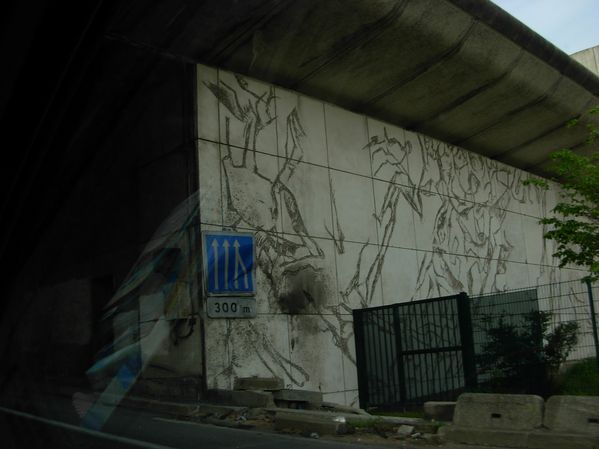 DSCN3031