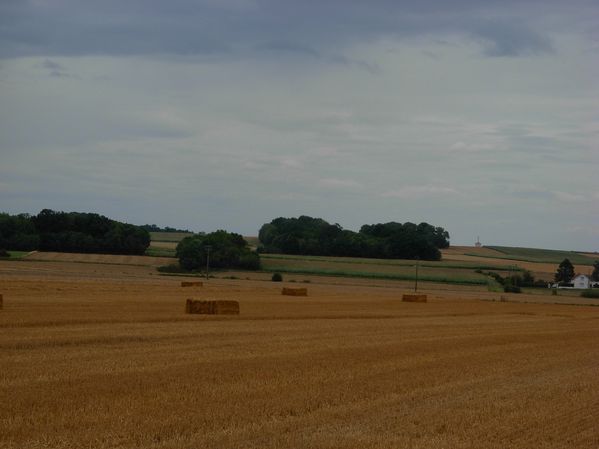 DSCN4685