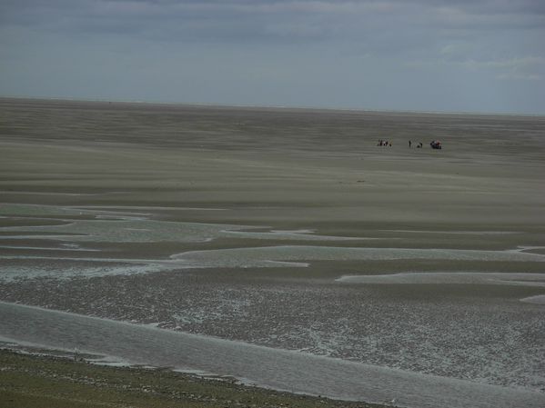 DSCN5784