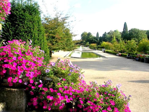 jardin-plantes.jpg