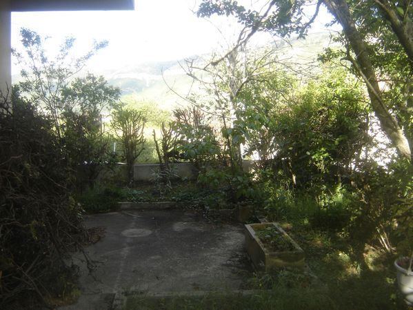 HAIE-006.jpg