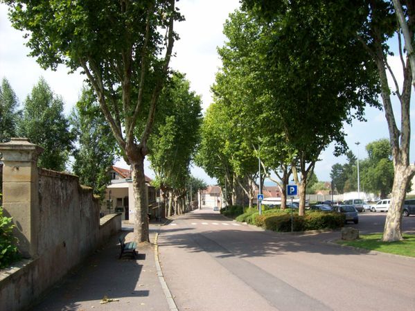 Boulevard Frédéric Latouche - 100 9051 (Copier)