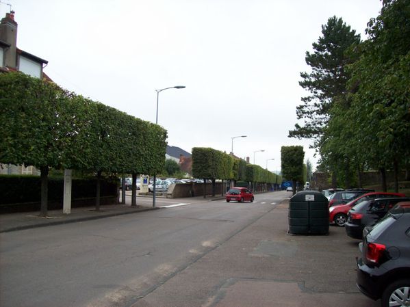 Boulevard Mazagran - 101 0025 (Copier)