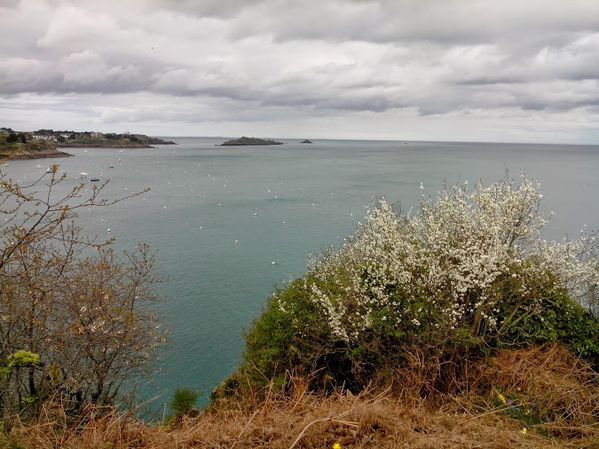 Cancale-20140406_153856.jpg