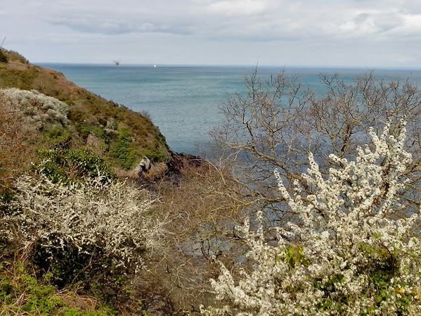 Cancale-20140406_155339.jpg