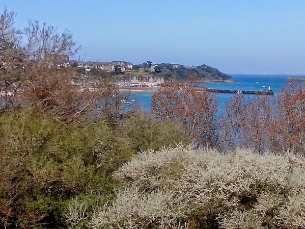 Cancale-20140409_165103.jpg