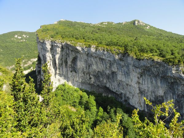 DSC01297
