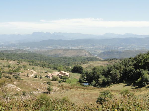 DSC01730